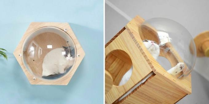 Wall mounted cat house