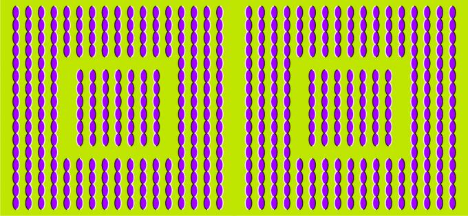 optical illusion: lines