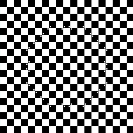 Optical illusions. chessboard