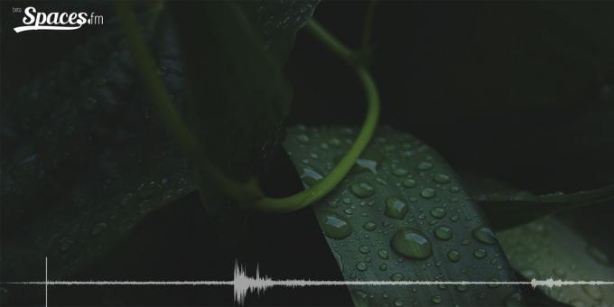 Binaural sound of rain for concentration