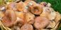 How and how much to cook mushrooms