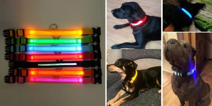 Products for walking the dog: luminous collar