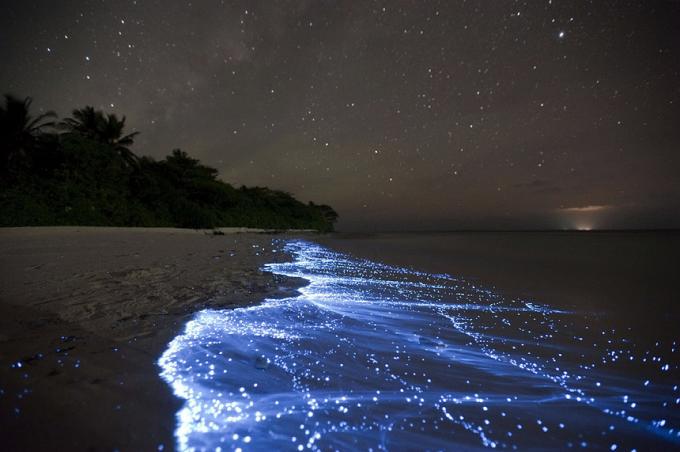 Bioluminescent Beach - Vaadhoo, Maldives best beaches