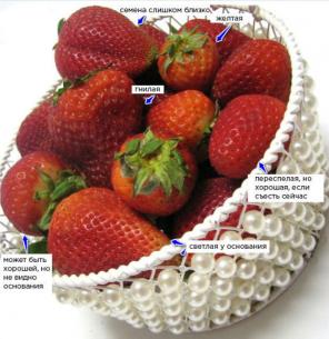 5 tips on how to choose only the most juicy, sweet and fragrant strawberries this summer