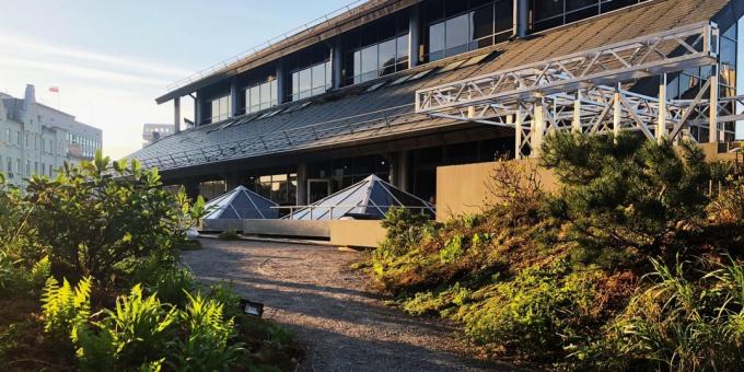 Organization of the workplace. Roof Garden