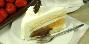 15 recipes for delicious cream cake