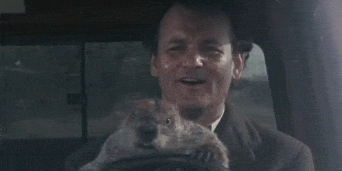 Revise the "Groundhog Day," Where else can you see the groundhog behind the wheel?