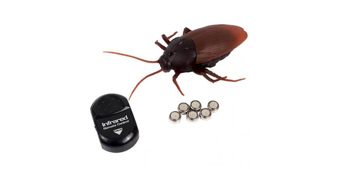 What to give your child: RC cockroach