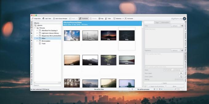 How to organize a collection of photos: digiKam