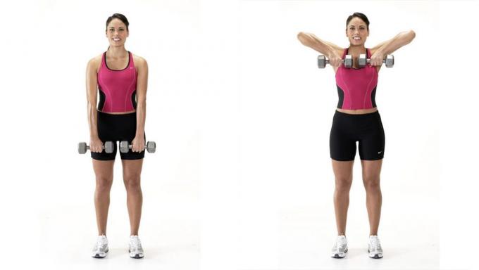 muscles of the upper back: lifting dumbbells to your chest