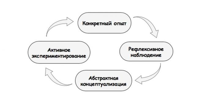 Learning Styles: Cycle