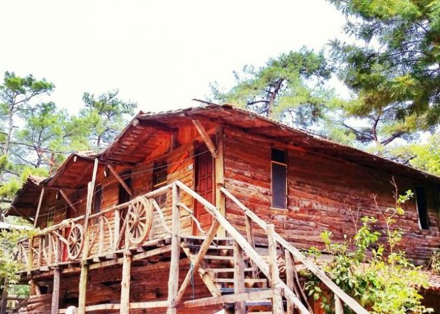 Kadir's Tree House 3