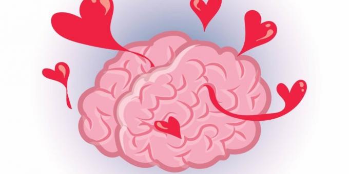 facts about the brain: Love