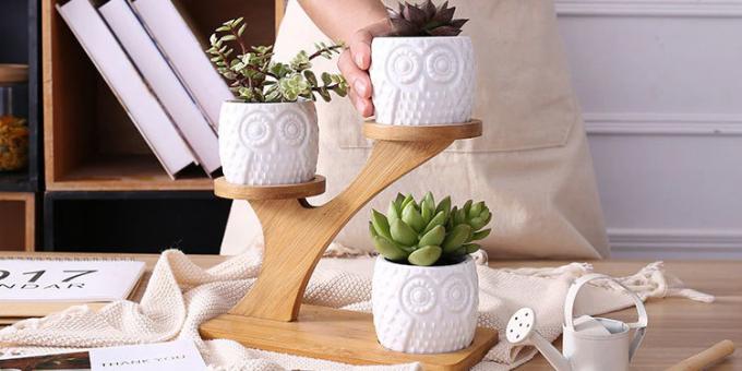What to give mom on New Year's Eve: pots for flowers