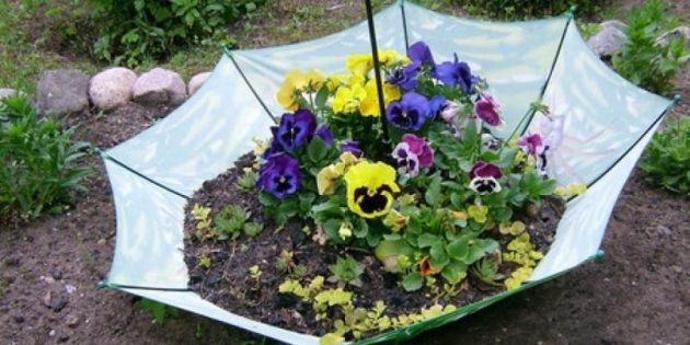 How to make a flower bed of old things with their own hands