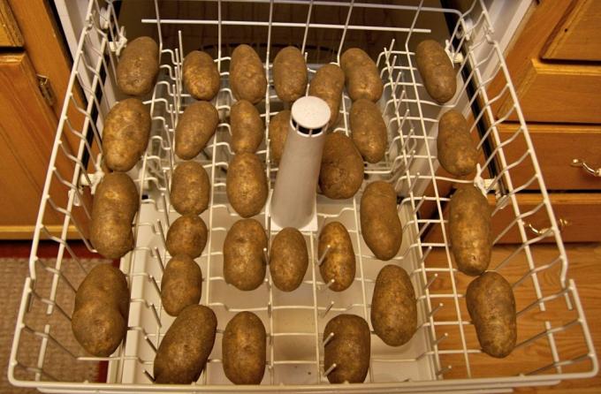 How to use a dishwasher: washing vegetables