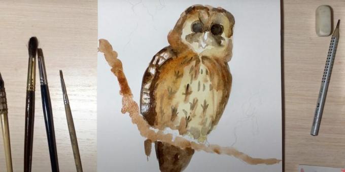 How to draw an owl: paint over a branch and make the bird brighter