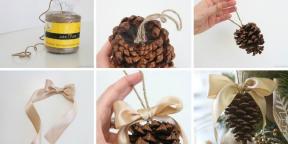 10 ways to make cool Christmas toys with their own hands