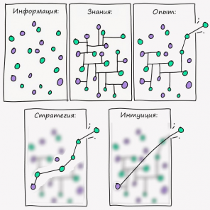 Business strategy: we accept ignorance of intuition and deceive ourselves