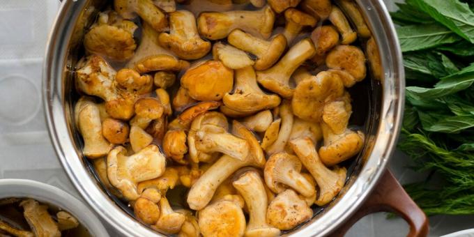 How and how much to cook chanterelles