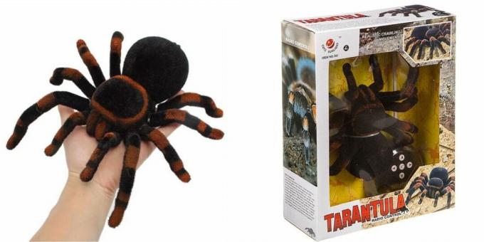 Crawling tarantula