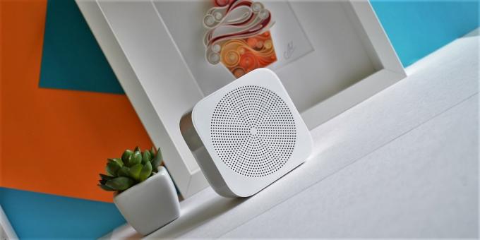 Xiaomi WiFi Online Radio: appearance