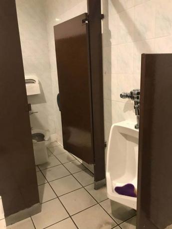 toilet design