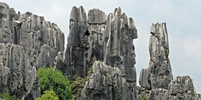 Asian territory knowingly attracts tourists: Shilin Stone Forest, China