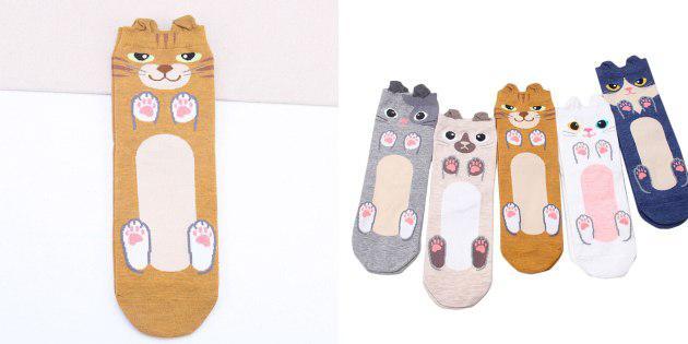 Socks with cats