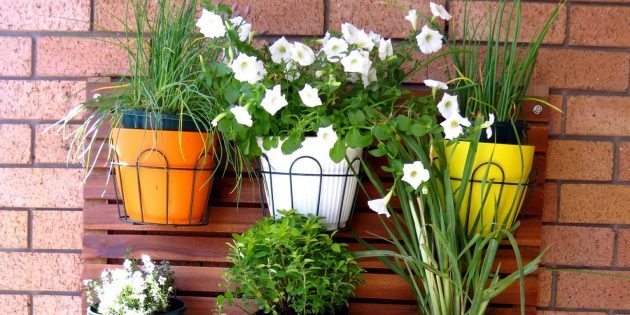 Flowers on the balcony