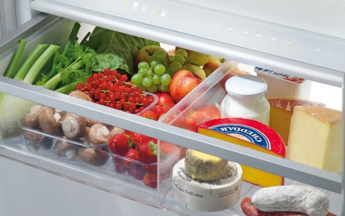 Conduct an audit in order to maintain order in the refrigerator