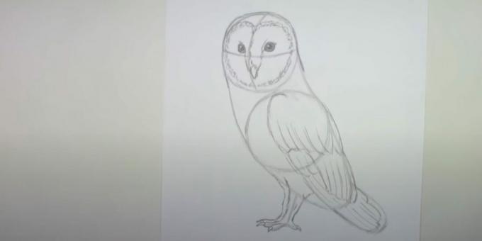 How to draw an owl: draw a second paw and outline a wing