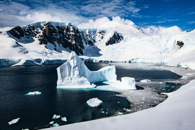 Icebergs in Antarctica