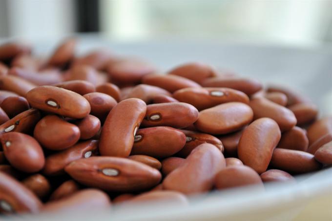 The most useful sources of protein: beans