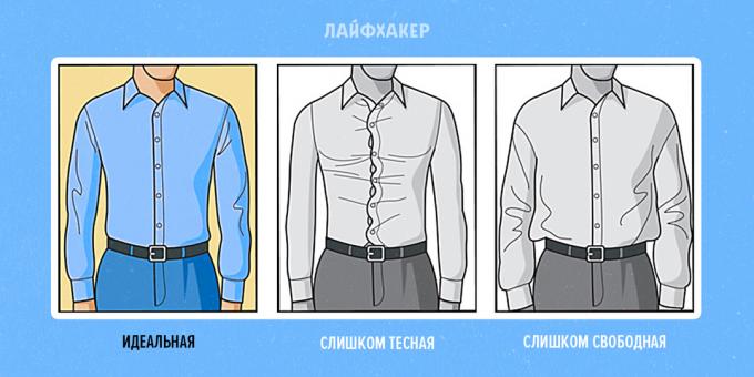 How to choose a shirt: planting