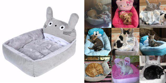 Cot for pet
