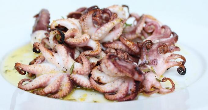 romantic date: octopus