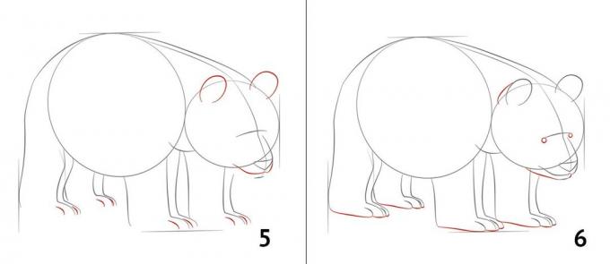 How to draw a panda