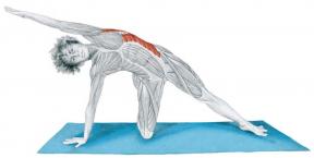 Stretching Anatomy in Pictures: exercises for body muscles