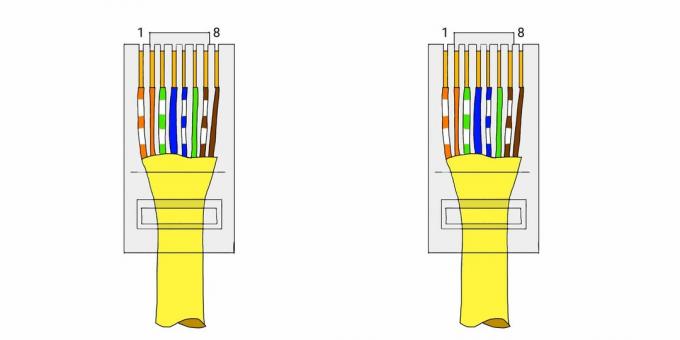 Twisted Pair Crimp: Arrange the conductors in the correct order