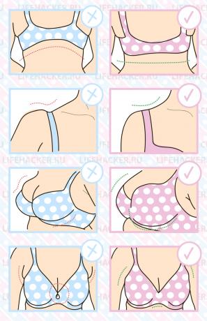 How to choose a bra: signs of correct and incorrect landing 
