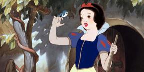 14 beautiful cartoons about princesses from the studio of Walt Disney and not only