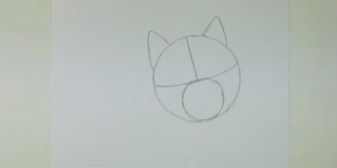 Draw a circle and mark the smaller ears