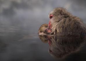 20 stunning works of contenders to win the National Geographic photo contest