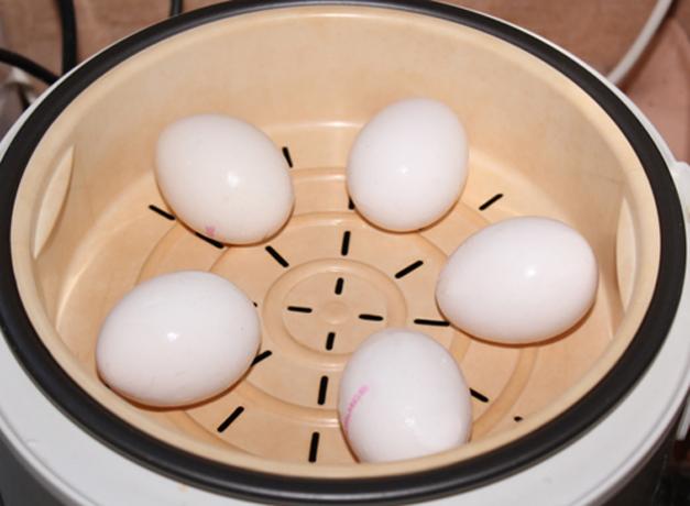How to cook the eggs in a double boiler or multivarka