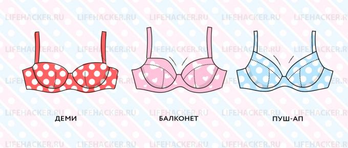 How to choose a bra: the basic model