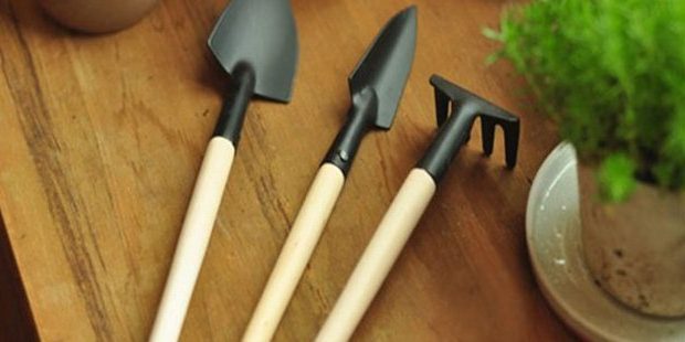 Tools for gardening with Aliexpress