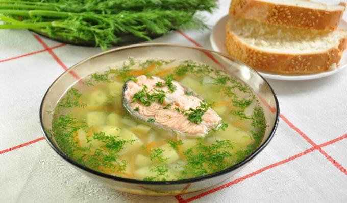 Trout fish soup with millet