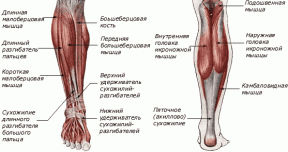 VIDEO: 4 exercises to prevent inflammation of the periosteum