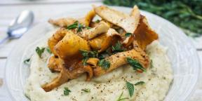 7 recipes flavored potatoes with chanterelles